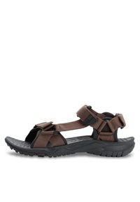 Jack Wolfskin Sandały Lakewood Ride Sandal M 4019021 Brązowy. Kolor: brązowy. Materiał: materiał #4