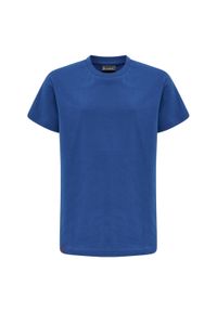 Koszulka dla dzieci Hummel Red Basic. Kolor: niebieski. Materiał: bawełna. Długość rękawa: krótki rękaw. Długość: krótkie #1