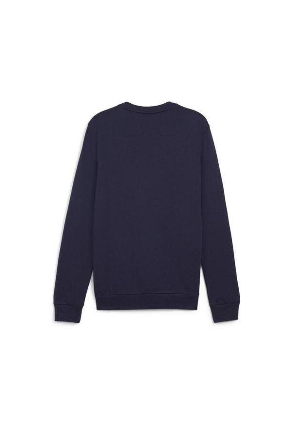 Bluza sportowa męska Puma B23616. Kolor: niebieski
