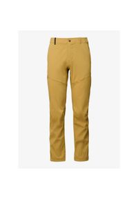 Spodnie męskie Black Diamond Pursuit Pants. Kolor: żółty