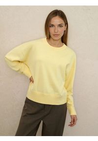 Sinsay - Sweter basic z wiskozą - żółty. Kolor: żółty. Materiał: wiskoza #1