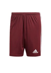 Adidas - Spodenki piłkarskie męskie adidas Squadra 21 Short. Kolor: biały, brązowy, czerwony, wielokolorowy. Sport: piłka nożna
