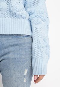 Born2be - Jasnoniebieski Sweter z Wełną i Bawełną Ozdobiony Pluszowym Splotem Karada. Kolor: niebieski. Materiał: bawełna, wełna. Wzór: ze splotem, aplikacja. Sezon: jesień, zima