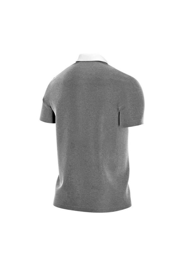 Nike - Męska Koszulka Polo Park 20 Z Krótkim Rękawem. Typ kołnierza: polo. Kolor: szary. Długość rękawa: krótki rękaw. Długość: krótkie. Sport: turystyka piesza