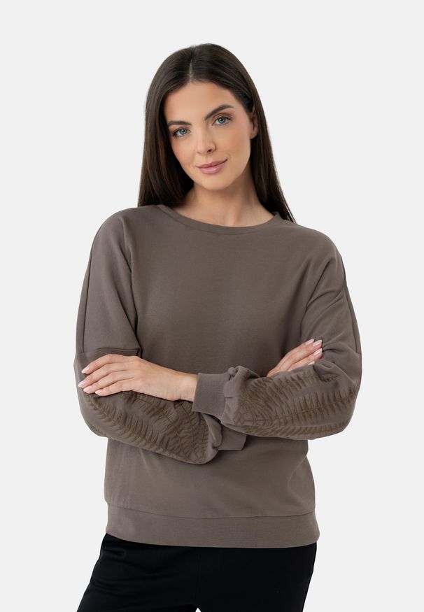 Volcano - Brązowa bluza B-SEPIA. Kolor: brązowy. Materiał: bawełna. Wzór: aplikacja, haft. Styl: klasyczny