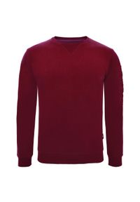 ELPLAYER - Bluza z bawełny Guros Play. Typ kołnierza: bez kaptura. Kolor: czerwony. Materiał: bawełna. Sport: fitness #1