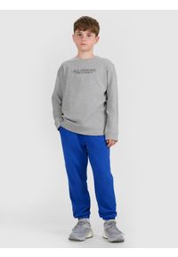 4f - 4F Longlseeve regular z nadrukiem chłopięcy - szary 164 (13-14 lat). Okazja: na co dzień. Kolor: szary. Materiał: bawełna, materiał, jersey. Długość rękawa: długi rękaw. Długość: długie. Wzór: nadruk. Sezon: lato. Styl: klasyczny, casual, sportowy #2