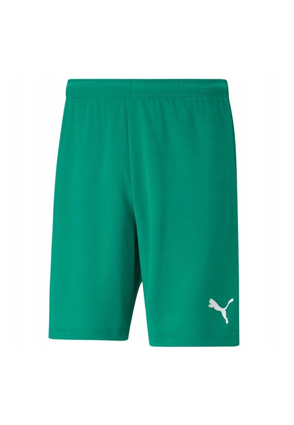 Puma - Męskie Spodenki TeamRISE. Kolor: zielony. Sport: turystyka piesza