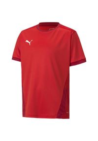 Koszulka dla dzieci Puma teamGOAL 23 Jersey. Kolor: czerwony. Materiał: jersey