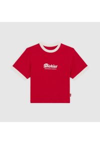 Koszulka Dickies Lewistown Ringer angielska czerwień. Kolor: czerwony. Sport: skateboard #1