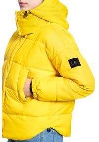 Lee - KURTKA DAMSKA LEE PUFFER JKT LEMON ZEST L56VUMMM. Kolor: żółty #5