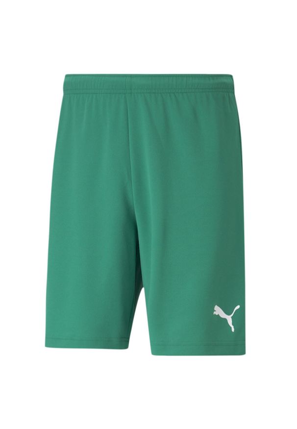 Szorty Puma teamRISE. Kolor: biały, wielokolorowy, zielony. Długość: krótkie. Sport: fitness