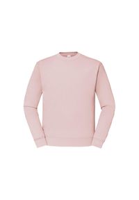 FRUIT OF THE LOOM - Męska Klasyczna Bluza Wkładana Przez Głowę. Kolor: różowy