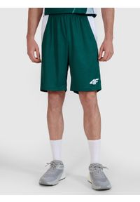 4f - 4F Spodenki meczowe replika męskie 4F x Polska Siatkówka - zielone 3XL. Kolor: zielony. Materiał: syntetyk, dzianina, materiał, włókno. Długość: krótkie. Wzór: aplikacja, gładki, ze splotem. Sport: siatkówka #2