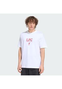Adidas - Koszulka z grafiką Liverpool FC Seasonal. Kolor: biały. Materiał: dzianina. Sport: piłka nożna #1