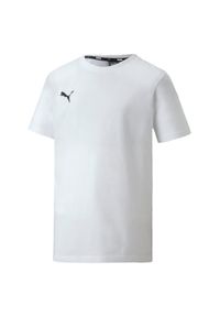 Koszulka dziecięca Puma Team Goal 23 Casuals. Kolor: biały. Sport: fitness, piłka nożna #1