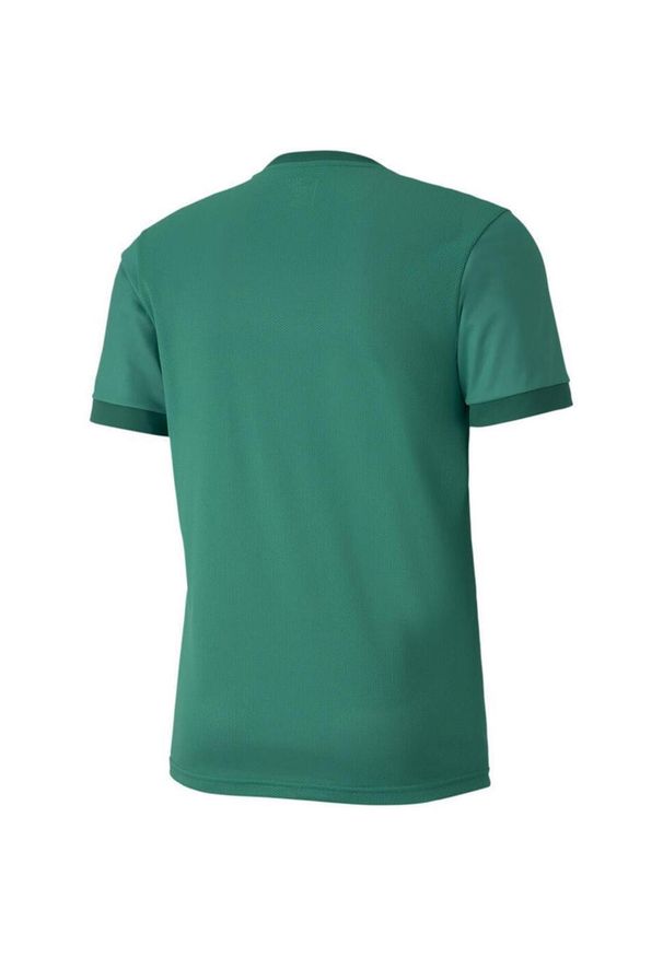 Koszulka do piłki nożnej męska Puma teamGOAL 23 Jersey. Kolor: zielony. Materiał: poliester