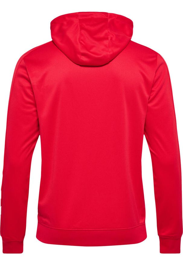 Bluza do piłki ręcznej męska Hummel hml PROMO Poly z kapturem. Typ kołnierza: kaptur. Kolor: czerwony, różowy, wielokolorowy. Sport: piłka ręczna
