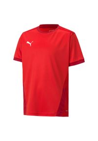 Koszulka dla dzieci Puma teamGOAL 23 Jersey. Kolor: czerwony. Materiał: poliester. Sport: piłka nożna #1