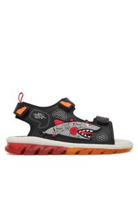 Sandały Primigi. Kolor: czarny #1