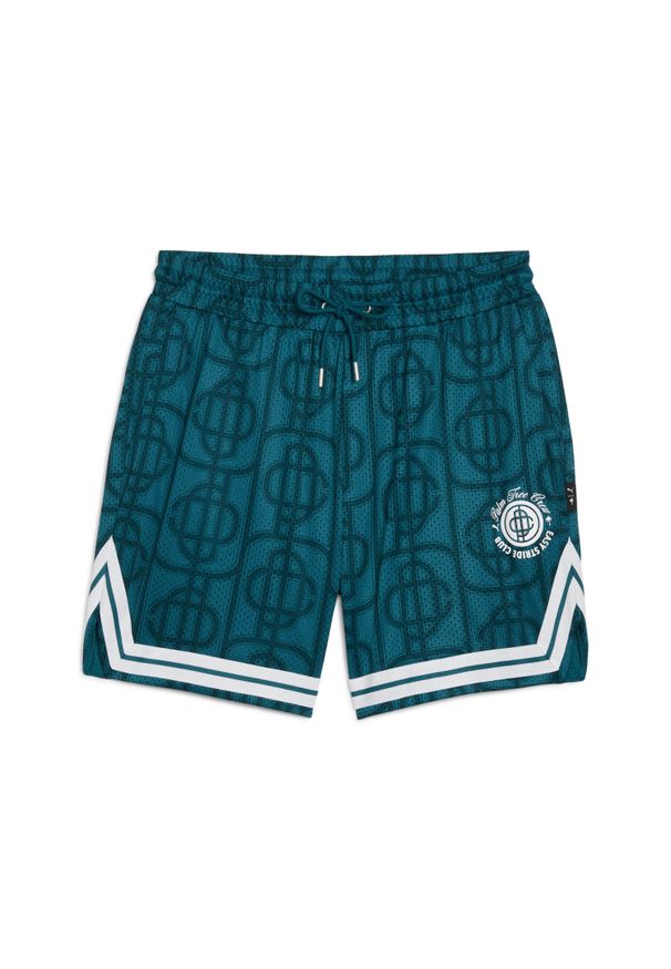 Spodenki z siateczki Puma x Palm Tree Crew AOP. Kolor: zielony. Długość: krótkie. Sezon: lato
