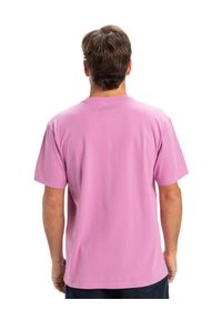 Quiksilver - Koszulka z krótkim rękawem dla Mężczyzn SALT WATER Fioletowy. Kolor: fioletowy. Materiał: materiał, bawełna. Długość rękawa: krótki rękaw. Długość: krótkie