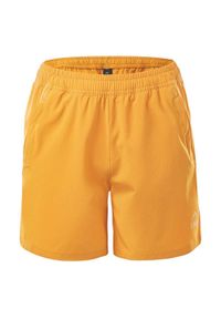 Elbrus - Shorty Dla Chłopca Logo Paru. Kolor: żółty. Długość: krótkie. Sezon: lato