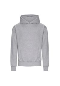AWDIS - Bluza Z Kapturem Dla Dorosłych Unisex Signature Heather Heavyweight. Typ kołnierza: kaptur. Kolor: szary