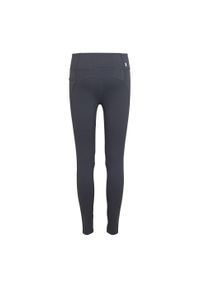 Regatta - Legginsy damskie Holeen Pro Compression. Kolor: szary. Materiał: jersey. Sport: turystyka piesza, fitness, joga i pilates