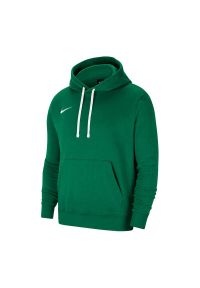 Nike Park 20 Fleece bluza. Kolor: zielony #1