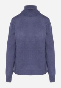 Born2be - Niebieski Casualowy Golf z Wełną o Prostym Kroju Reiselia. Okazja: na co dzień. Typ kołnierza: golf. Kolor: niebieski. Materiał: wełna. Styl: casual #7