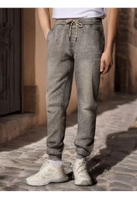 Sinsay - Jeansy jogger - szary. Kolor: szary