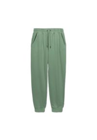 PITBULL - Spodnie męskie Pitbull Lancaster 2 Track Pants. Kolor: zielony. Sport: fitness