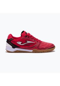 Buty piłkarskie męskie Joma Dribling IN. Kolor: czerwony. Sport: piłka nożna