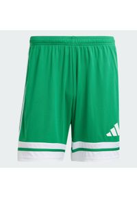Spodenki Adidas Sport Squa25 Sho M Dorosłych. Kolor: zielony, biały, wielokolorowy. Długość: krótkie. Sport: piłka nożna #1