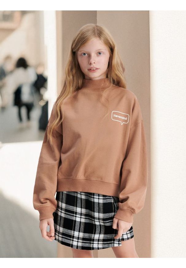 Sinsay - Bluza ze stójką - brązowy. Typ kołnierza: kołnierzyk stójkowy. Kolor: brązowy. Długość rękawa: długi rękaw. Długość: długie. Wzór: napisy