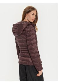 EA7 Emporio Armani Kurtka zimowa 6DTB04 TN88Z 1755 Brązowy Regular Fit. Kolor: brązowy. Materiał: syntetyk. Sezon: zima