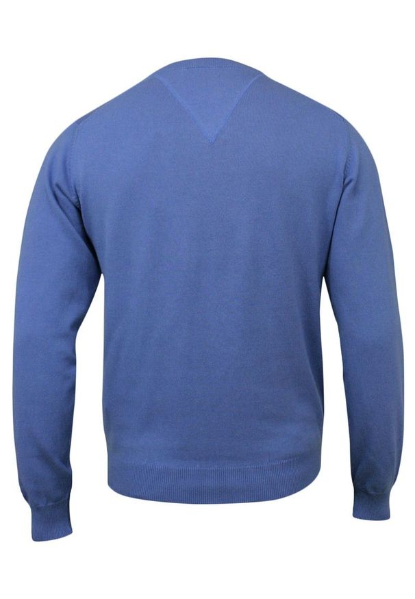 Sweter, Błękitny, Niebieski w Serek, Męski Bawełniany (V-neck), Elegancki - Adriano Guinari. Okazja: do pracy, na co dzień, na spotkanie biznesowe. Typ kołnierza: dekolt w serek. Kolor: niebieski. Materiał: bawełna. Styl: elegancki