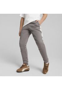 Puma - Młodzieżowe spodnie Evostripe PUMA Cast Iron Gray. Kolor: szary. Sport: turystyka piesza