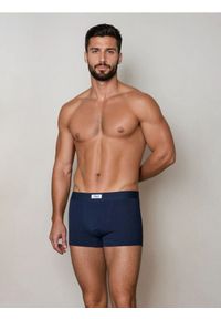 Sinsay - Bokserki 5 pack - granatowy. Kolor: niebieski #1